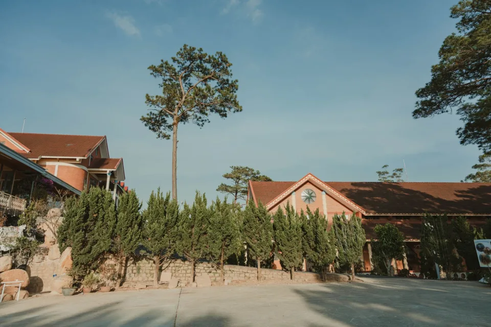 Hình ảnh tại Đỗ Thị Yên 3